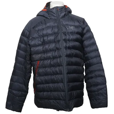 Donsjack (Grijs) van Arc'teryx Dons, Veer, Nylon, Polyester