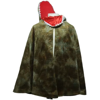 Feestkostuums (Groen, Meerkleurig) van Great Pretenders Polyester, Polyurethaan