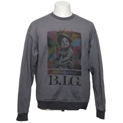 Sweatshirt (Grå) fra The Notorious B.I.G Bomuld, Genanvendt polyester