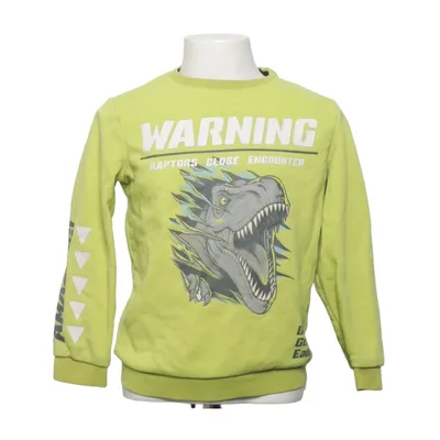 Sweatshirt (Grøn, Flerfarvet) fra Jurassic World