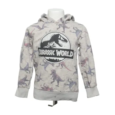 Hættetrøje (Grå, Flerfarvet) fra Jurassic World Bomuld, Polyester