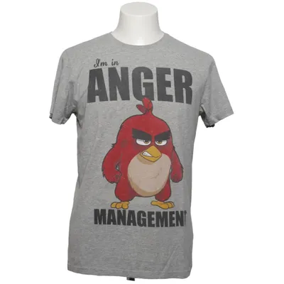 T-shirt (Grå) från Angry Birds Bomull, Polyester