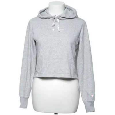 Hoodie (Gray) from Champion