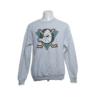 Sweatshirt (Gray) from Fruit of the Loom