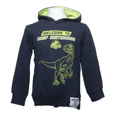 Huvtröja (Blå, Grön, Flerfärgad) från Jurassic World Bomull, Polyester