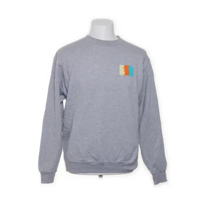 Collegetröja (Grå) från The Hundreds Bomull, Polyester