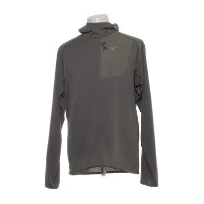 Huvtröja (DELTA PULLOVER HOODY M) från Arcteryx Polyester
