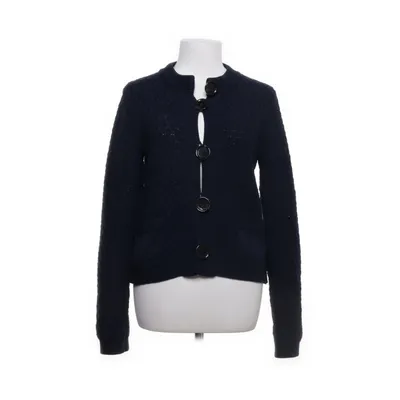 Cardigan (Blauw) van Dagmar Merinowol