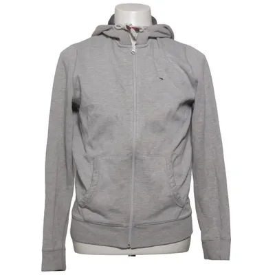 Sweat à capuche (Gris) de Hilfiger Denim