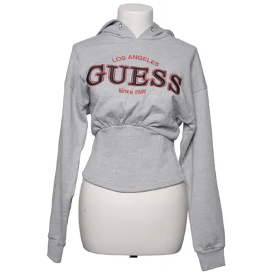 Hoodie (Gray) from Guess