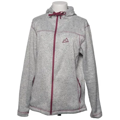 Hoodie (Gray) from BLWR Polyester