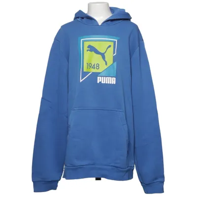 Hoodie (Blue, Multicolored) from Puma