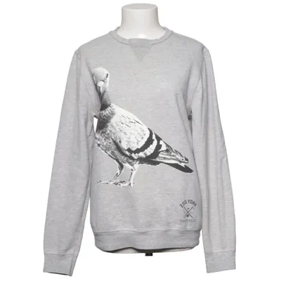 Sweatshirt (Grå) fra Zoo York