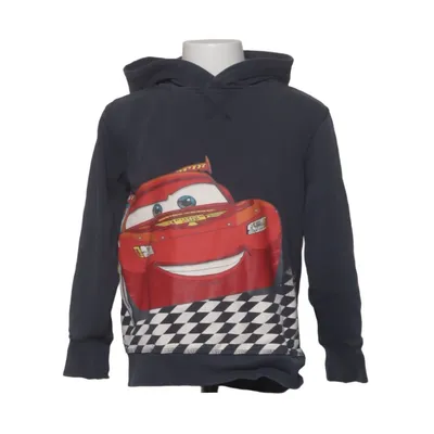 Sweat à capuche (Bleu, Multicolore) de Disney Pixar Coton, Polyester, Viscose