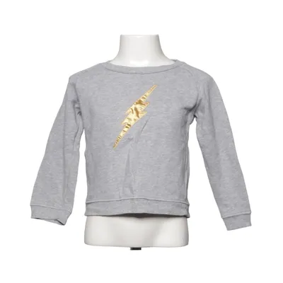 Sweatshirt (Gray) from Anive Organic cotton