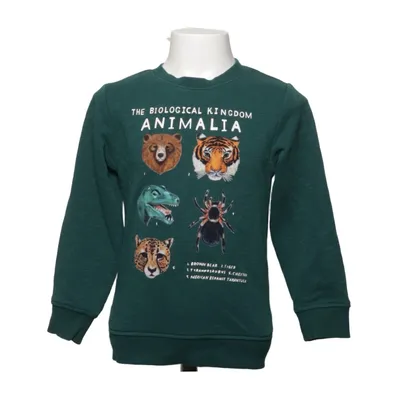 Sweatshirt (Groen, Meerkleurig) van Kelzuki x H&M Katoen, Polyester