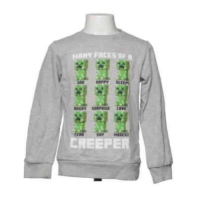 Sweatshirt (Grijs, Meerkleurig) van Minecraft Katoen, Polyester