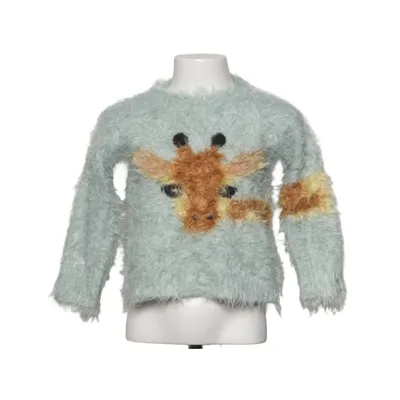 Sweater (Green, Brown, Multicolored) from Zara Knitwear Acrylic, Polyamide