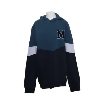 Sweat à capuche (Bleu, Multicolore) de WE Fashion Coton, Polyester recyclé