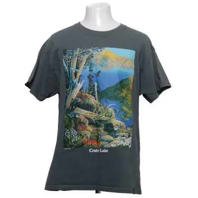 T-shirt (Crater Lake) från Nike ACG Bomull