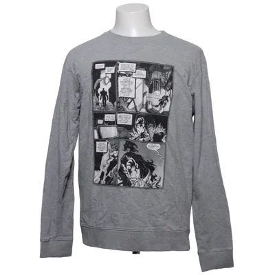Sweatshirt (Grå) fra Kiss