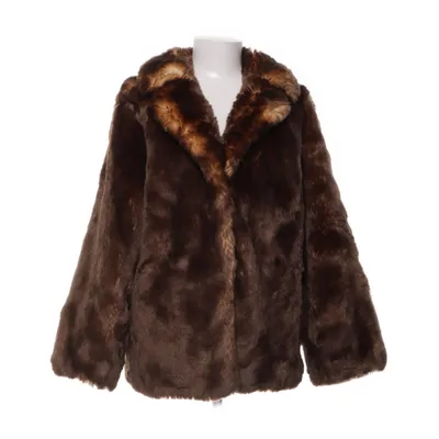 Bontjack (Bruin) van Chaleur