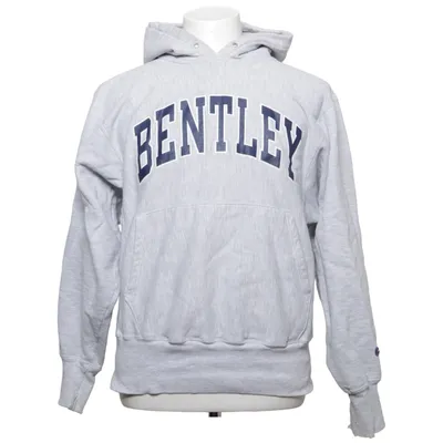 Huvtröja (Grå, Blå) från Champion