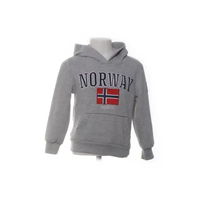 Huvtröja (Grå, Flerfärgad) från Norge