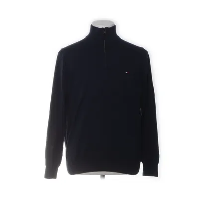 Sweater (Blue) from Tommy Hilfiger Cotton