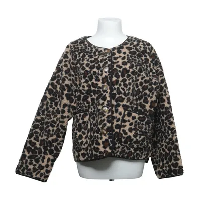 Jacket (Brown, Black) from Belcci Polyester
