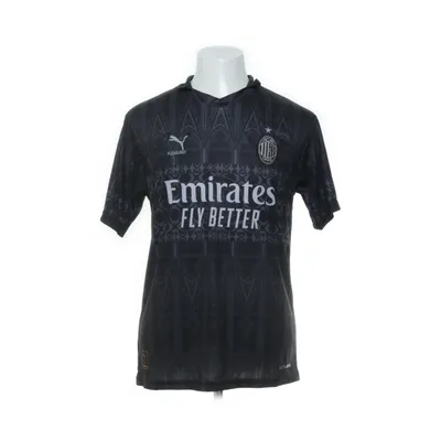 Matchtröja (Grå) från Puma