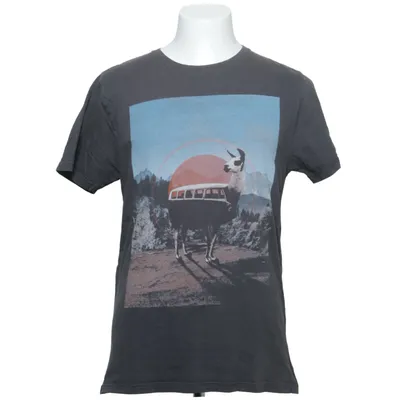 T-shirt (Grå) från Dedicated Ekologisk bomull