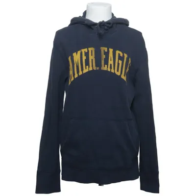 Hoodie (Blue, Yellow) from American Eagle Outfitters