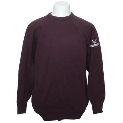 Sweater (Purple) from Lyle & Scott Polyamide, Wool