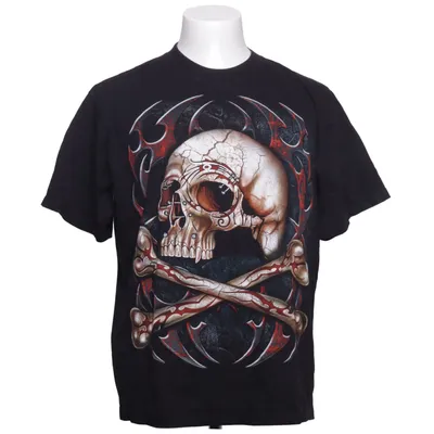 T-shirt (Svart, Flerfärgad) från Rock Eagle Bomull