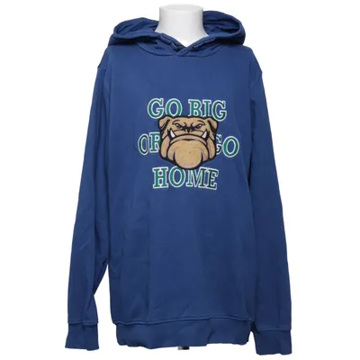 Hoodie (Blue) from The New Organic cotton, Polyester