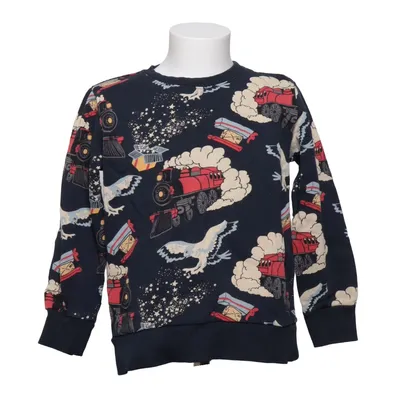 Sweatshirt (Blue, Multicolored) from Lindex Kids Cotton
