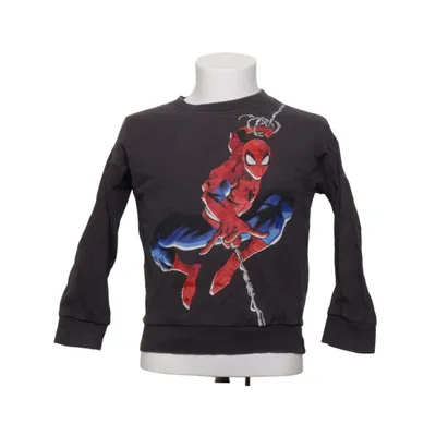Sweatshirt (Spider-Man) de Marvel Coton