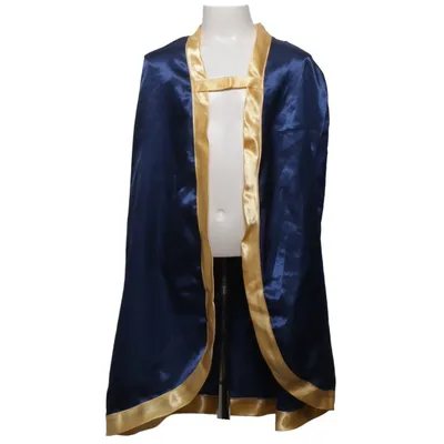 Maskeradkläder (Blå, Guldfärgad, Flerfärgad) från Liontouch Polyester