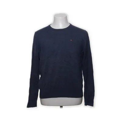 Sweater (Blue) from Tommy Hilfiger