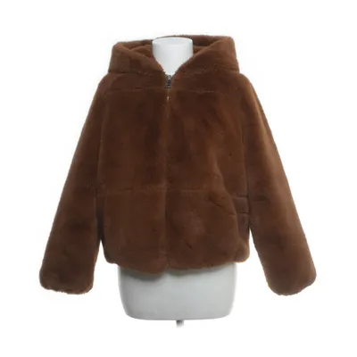 Winter jacket (Brown) from Zara Trafaluc Polyester