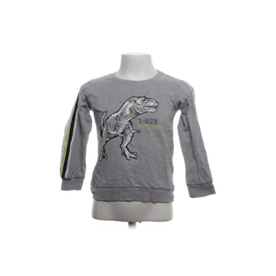 Sweatshirt (Grijs, Meerkleurig) van Authentic Katoen, Viscose