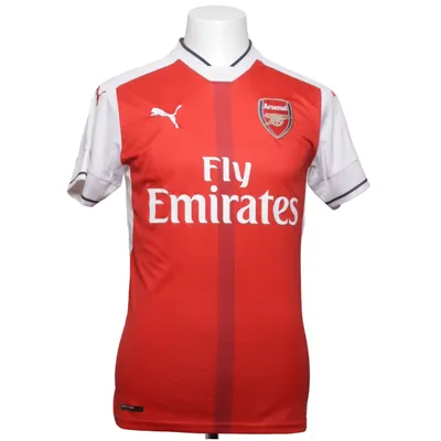 Voetbalshirt (Rood, Wit, Meerkleurig) van Puma