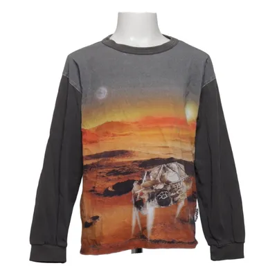 Långärmad t-shirt (Grå, Flerfärgad) från Molo Ekologisk bomull