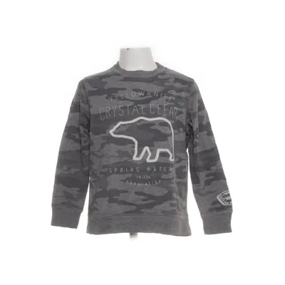 Sweatshirt (Grå) fra Zara Boys