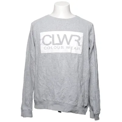 Sweatshirt (Gray) from Colour Wear Cotton