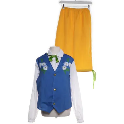 Feestkostuums (Geel, Blauw, Meerkleurig) van Orion Costumes Polyester