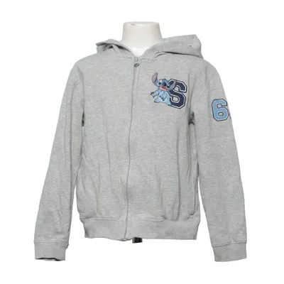 Hoodie (Gray) from Disneyland Paris