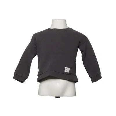 Sweatshirt (Grijs) van Zara BabyBoy