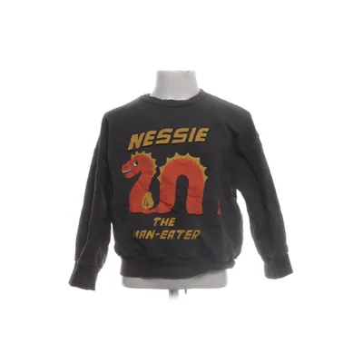 Sweatshirt (Brun) fra Mini Rodini Bomuld